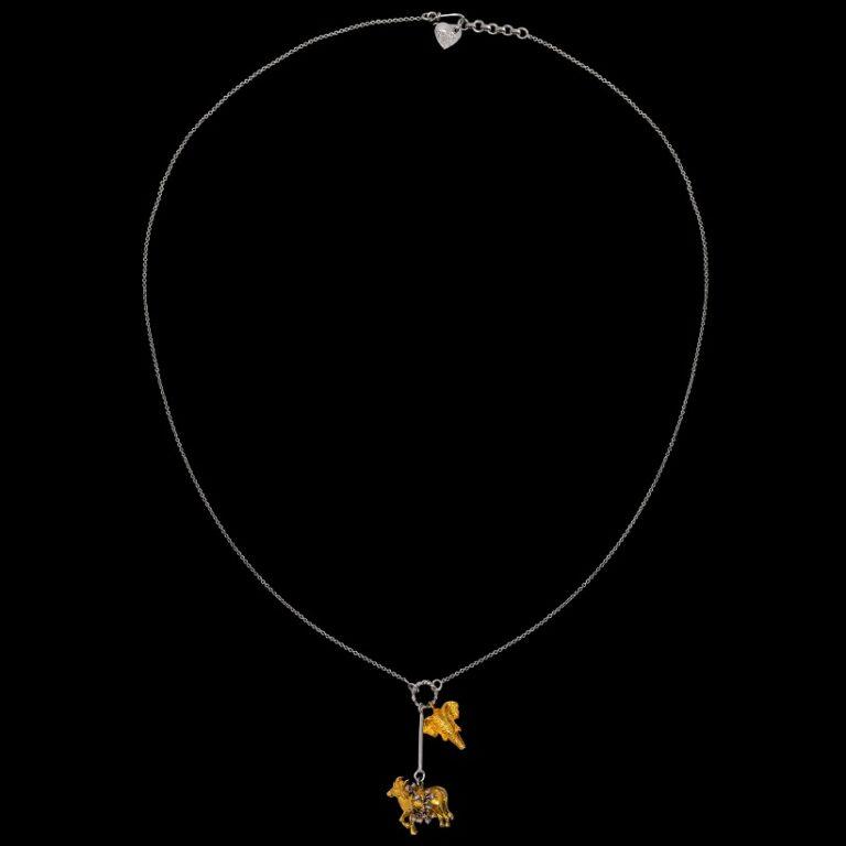 Aanshi Chain