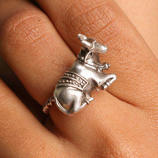Nandideva ring