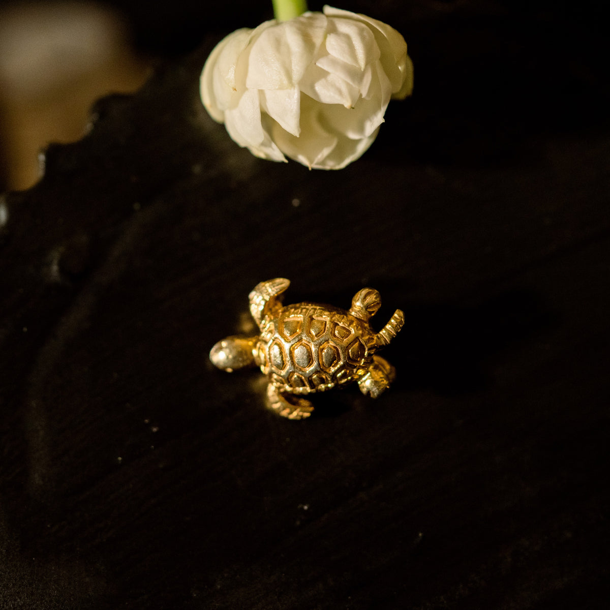 TORTOISE RAKHI