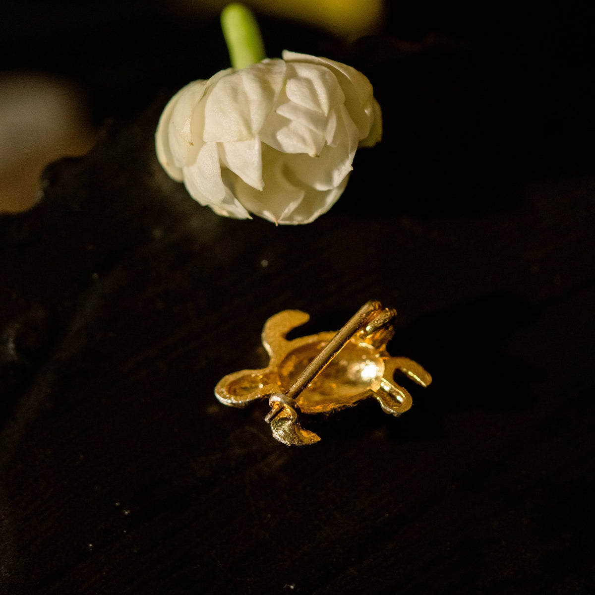TORTOISE RAKHI