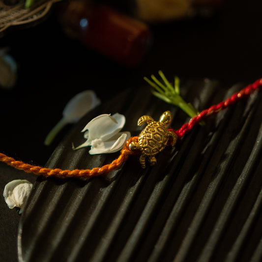 TORTOISE RAKHI