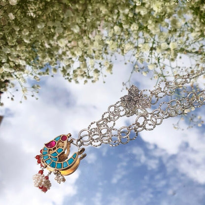 Nova Chain