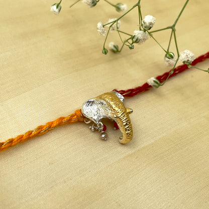 Gaj Rakhi