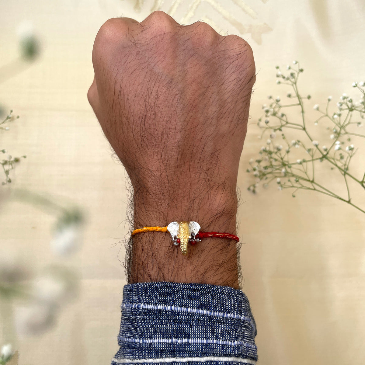 Gaj Rakhi