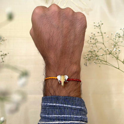 Gaj Rakhi