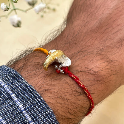 Gaj Rakhi