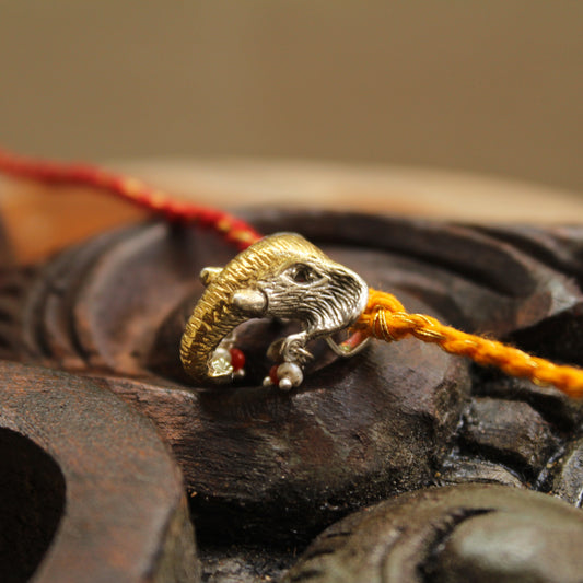 Gaj Rakhi