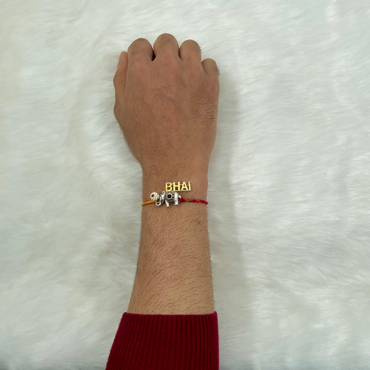Gaj Bhai Rakhi
