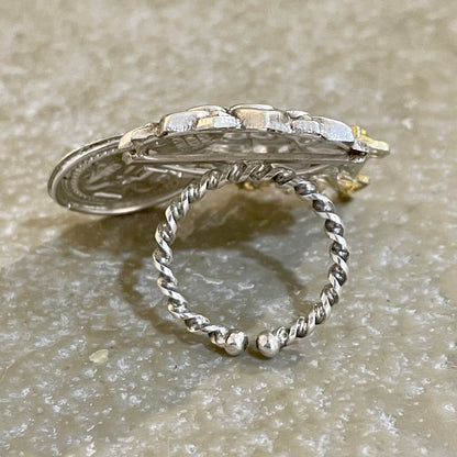 Nandi Sar Ring