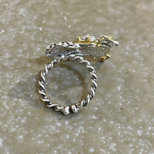 Sumukh Ring