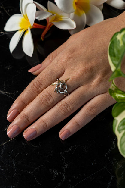 Ohm Ring