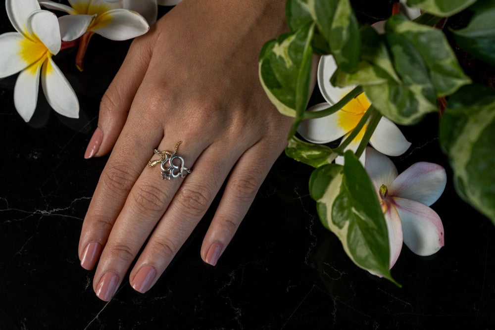 Ohm Ring