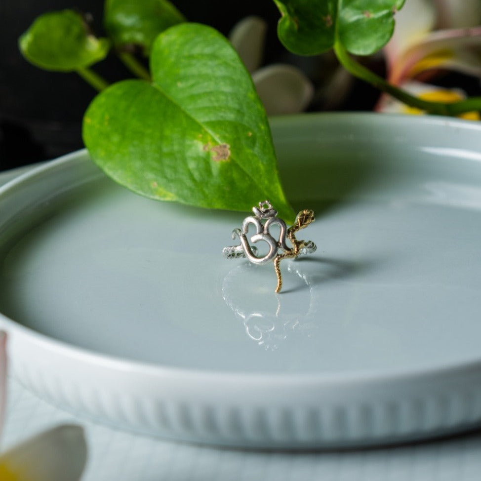 Ohm Ring