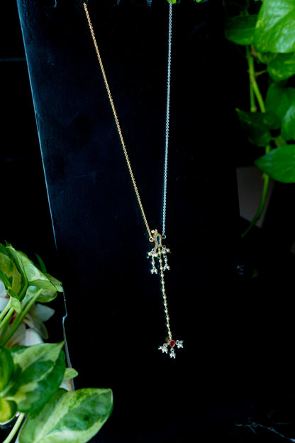 Arushi Chain