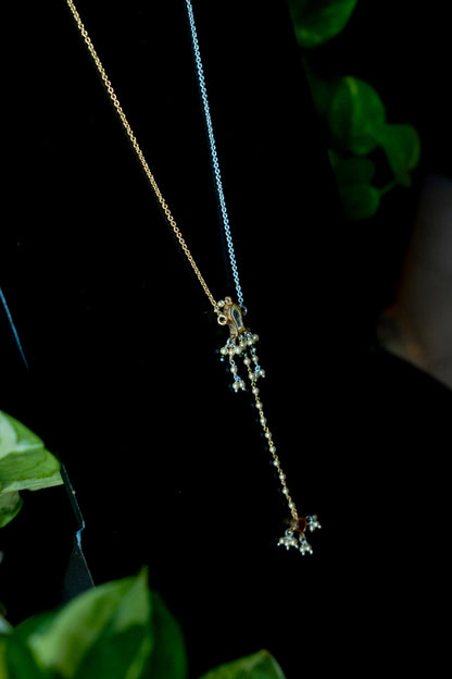 Arushi Chain